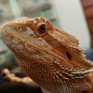 Meet your Posher, Lindsey